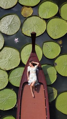 a woman laying on top of a boat surrounded by lily pads