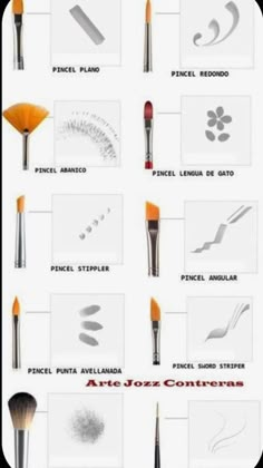 the different types of makeup brushes and their names are shown in this diagram, which shows how to use them