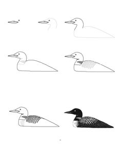 six ducks are shown in black and white