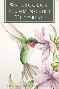 watercolor hummingbird painting on white paper with text overlay that reads, watercolor hummingbird hummingbird