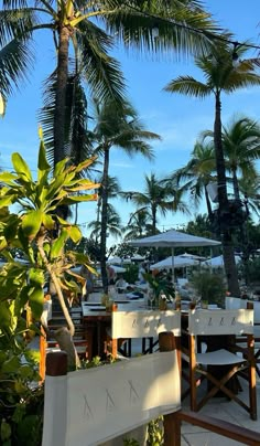 an outdoor dining area with palm trees and white tablecloths on the tables under umbrellas