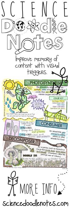 science notebook notes improve memory of students with visual imagery and text evidence from the book