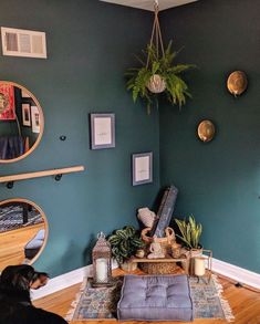 a living room filled with furniture and a dog laying on top of a rug in front of a mirror