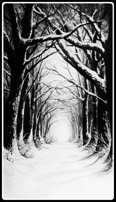 a black and white drawing of a snow covered path with trees on both sides in winter