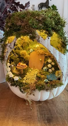 a white pumpkin with moss growing on it's sides and a fairy house in the center