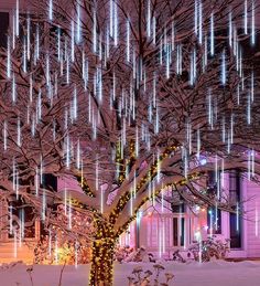 a tree with lights hanging from it's branches in the snow