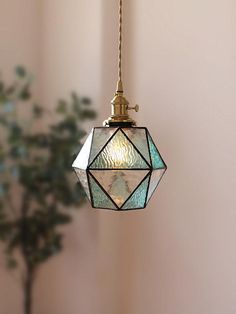 a light hanging from a ceiling next to a potted plant