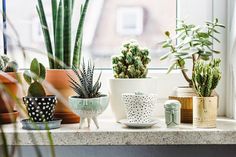 several potted plants are sitting on a window sill in front of the windowsill