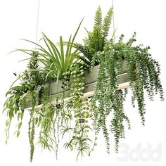 green plants are hanging from the side of a planter