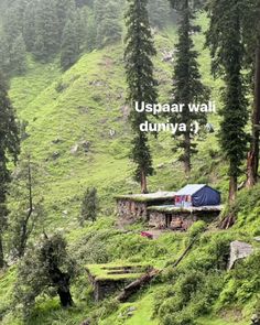 there is a tent on the side of a hill with trees and grass around it