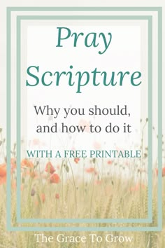 a field with flowers and the words pray scripture why you should, and how to do