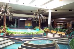 an indoor swimming pool with palm trees in the middle and stairs leading up to it