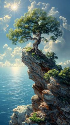 a tree sitting on top of a cliff next to the ocean