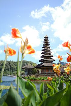 some flowers are in front of a building with a pagoda on the top and water below