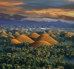 yellow mounds in the middle of a field with mountains in the background