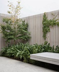 a wooden bench sitting in the middle of a garden next to a wall with plants on it