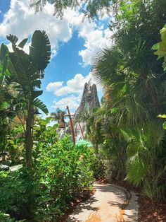 a walkway in the middle of some trees and bushes