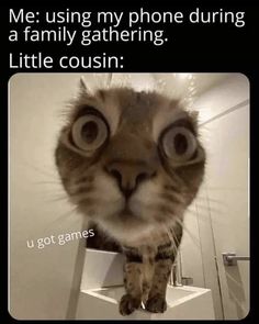 a cat is looking at the camera and has an ad on it that says, me using my phone during a family gathering little cousin