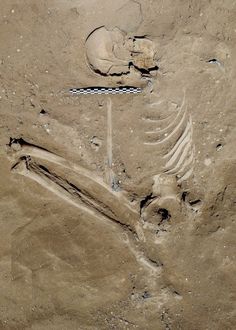 an image of a skeleton in the sand that looks like it has been carved into something