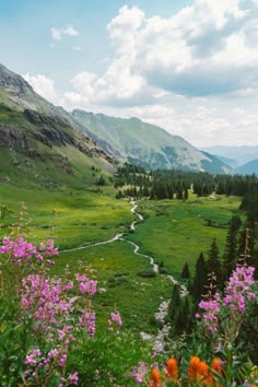 the valley is surrounded by mountains and trees with pink flowers in bloom on either side