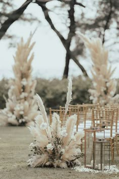 an outdoor wedding set up with gold chairs and pamodia flowers on the ground