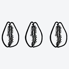 three pieces of fruit that are drawn in black ink on a white background, each with an individual's own leaf