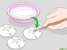 how to make sand dollars with pictures