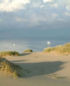 a sailboat in the distance on an ocean beach with sand dunes and grass around it