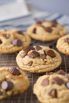 chocolate chip cookies cooling on a rack ready to go into the oven or baking dish