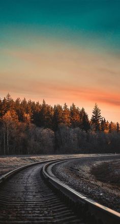 a train track running through the middle of a forest with trees in the background at sunset