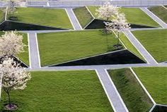 an aerial view of a grassy area with trees and bushes in the center, surrounded by white flowers