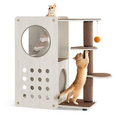 a cat climbing on top of a scratching tower with a kitten sitting on it's back