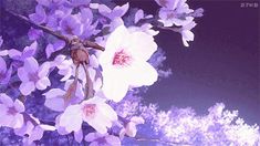 purple flowers are blooming on a tree branch in front of a blue and white sky