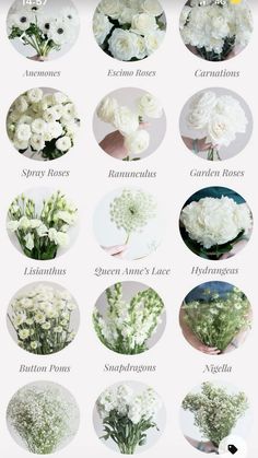 flowers that are white and have different names on the front, with words below them