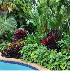 an outdoor swimming pool surrounded by tropical plants