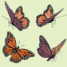 four orange butterflies flying in the sky with their wings spread out and facing different directions