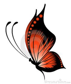 an orange and black butterfly flying