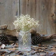 a glass vase filled with baby's breath sitting on top of leaves and pine cones