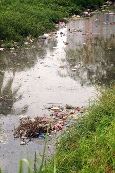 a river filled with lots of trash next to green grass