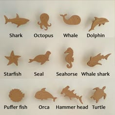 the different types of sea animals and their names are shown in wooden cutouts