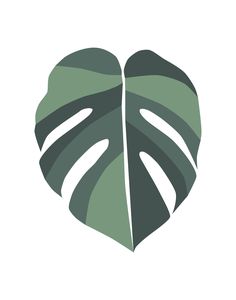 a green leaf on a white background with the shape of a heart in the center