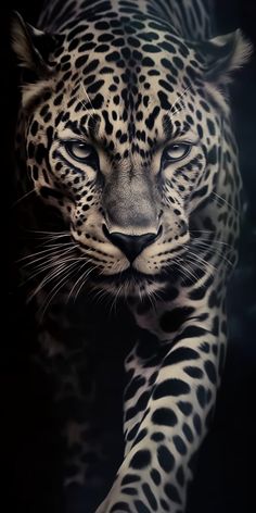 a black and white photo of a leopard