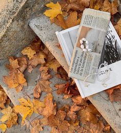 an open book laying on the ground with autumn leaves around it and a chain attached to it