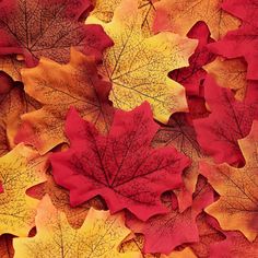 many different colored leaves laying on top of each other