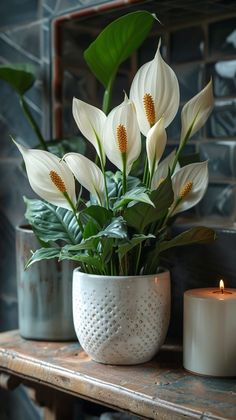 some white flowers are sitting in a vase next to a lit candle on a table