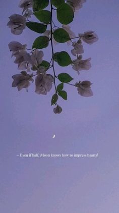 the moon is shining behind some white flowers and green leaves on a tree branch with a quote written below it