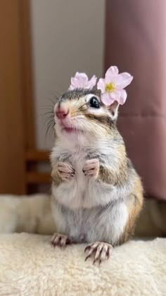 a small rodent sitting on top of a bed with pink flowers in its hair