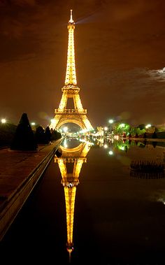 the eiffel tower lit up at night with its lights reflecting in the water