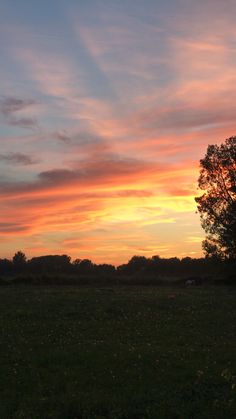 the sun is setting over an open field with trees in the foreground and clouds in the background