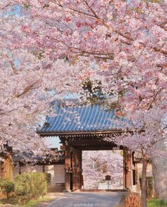 a gazebo surrounded by cherry blossom trees